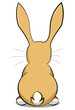 Hase von hinten