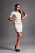 Sexy Brunette Fashion Lady Sexy Brunette Fashion Lady