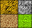 abstract animal prints