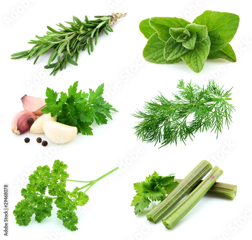 Photo: Collage of spice Collage of spice