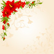 Beautiful orchid on the background
