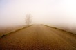 nebbia series8