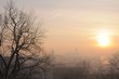 smog