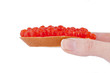 Bread and red caviar in the hend Bread and red caviar in the hend