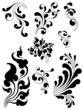 set of floral elements, vector illustration set of floral elements, vector illustration