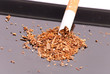 Close Up Details of Spilled Tabacco from Cigarette