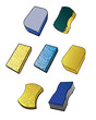 Illustrations of various types of sponges. Illustrations of various types of sponges.