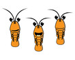 Shrimp Character with Various Emotions Shrimp Character with Various Emotions