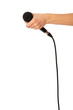 microphone for interview