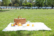 Picnic in a park