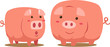 Pigs