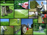landscaping company