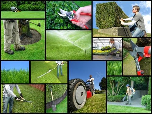 Photo: landscaping company landscaping company