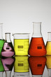 lab