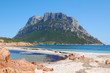 Tavolara (small island of the northeast coast of Sardinia)