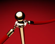 Brass stanchion with red velvet rope Brass stanchion with red velvet rope