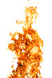 Fire flame isolated on white backgound
