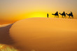 Photo : Travel with camel Travel with camel