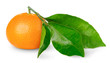 Tangerine isolated on white