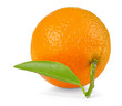 Tangerine isolated on white