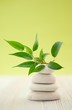 Foto: Wellness Wellness