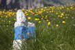 Photo: Wanderweg Wanderweg