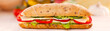 Cheese sandwich panorama