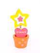 Potted flower of love