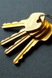 Bunch of keys isolated on grey