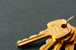 Bunch of keys isolated on grey