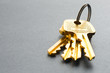 Bunch of keys isolated on grey