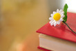 読書