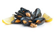 mussels with lemon isolated - cozze e limone
