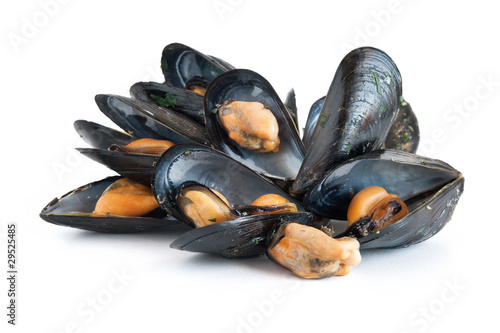 Foto: boiled mussels - cozze bollite boiled mussels - cozze bollite