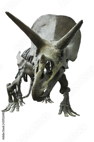 Photo: Dinosaurier Dinosaurier