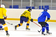 the hockey