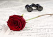 Foto: rote Rose, Opernglass, Noten rote Rose, Opernglass, Noten