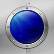 porthole. shark. vector illustration. eps10 porthole. shark. vector illustration. eps10