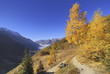 Schwarzsee, Seematte, Lötschental, Wallis, Schweiz, Europa