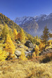 Lötschental, Wallis, Schweiz, Europa