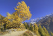 Lötschental, Wallis, Schweiz, Europa