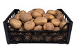the black plastic box of bright fresh yellow potatoes