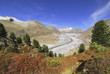 Aletschgletscher, Riederalp, Wallis, Schweiz