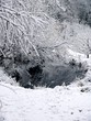 Forest lake. Winter.