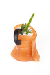 Salmon rolls stuffed with cheese