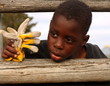 Boy looking through rail fence, holding gloves