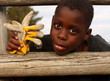 Boy looking through rail farm fence, holding gloves