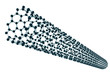 Carbon nanotube