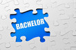 Bachelor