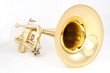golden trumpet golden trumpet